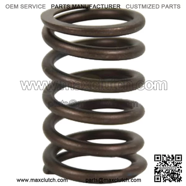 S.65711 Valve Spring - Outer Fits Case IH