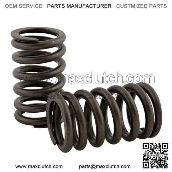 R-3900276 Valve Spring Fits Case