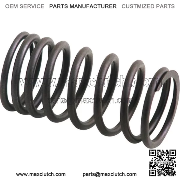 AM31744131 Inner Valve Spring