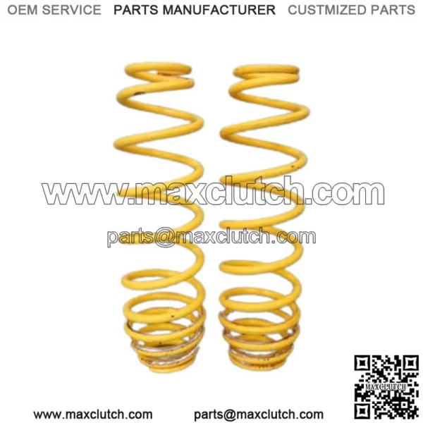 Can Am 2012-2015 Renegade 800 1000 Rear Spring Kit 70600955