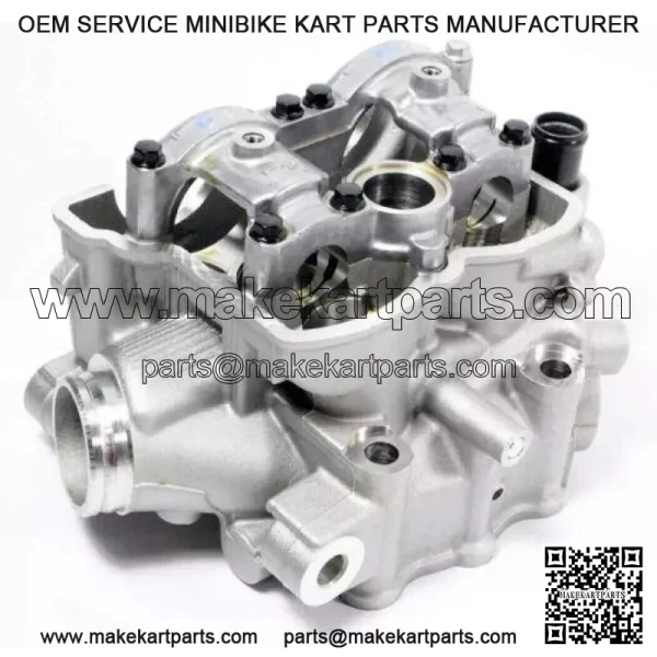 Kawasaki 2009-2010 KX250F Cylinder Head New 11008-0191